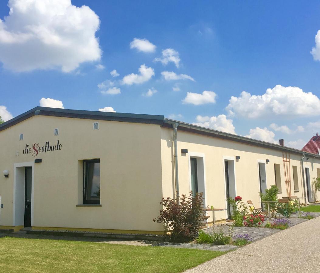 Senfbude - Klein Aber Fein - Wunderschönes Studio-apartment Mit Terrasse Und Stellplatz
